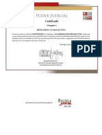 Certificado participante oralidad proceso civil