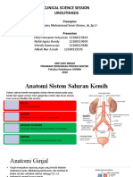 UROLITHIASIS KEL 4 DAN 14 DR Tommy