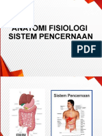 Anatomi Fisiologi Sistem Percernaan
