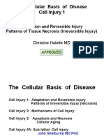 02.07.4 Cell Injury I FINAL