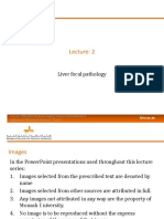 Lecture 2 Liver Focal Pathology