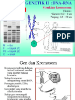 2012 Klh5 Genetika DNA RNA