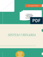 Sistem Urinaria