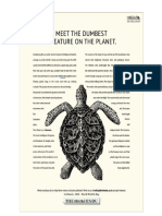 11 LL - Paper 1 - Feb 2021 (Turtle)