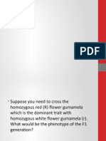 Pedigree Analysis