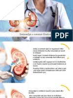 Semundjet e Sistemit Ekskretor - Mirije Ebibiij