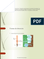 Fosforo en Las Plantas