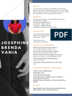 CV - Josephine Brenda Vania