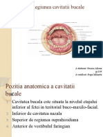 Anatomia Studiu Individual 1 Puscas Aliona 104