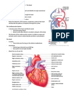 Handouts_Cardiovascular_Sys_Sp11