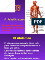 El Abdomen III