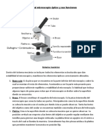 Partes y funciones del microscopio óptico