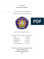 Studi Kasus PT - Freeport