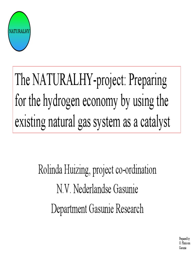 NATURALHY: Hydrogen Economy Catalyst | PDF | Natural Gas | Life Cycle ...