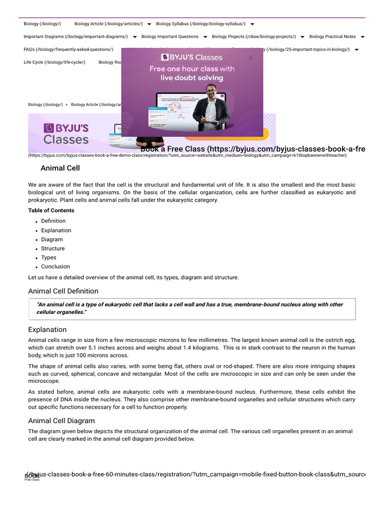 Animal visual data 6