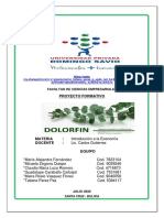 Proyecto Final - Empresa Dolorfin
