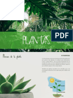 Procesos de La Planta