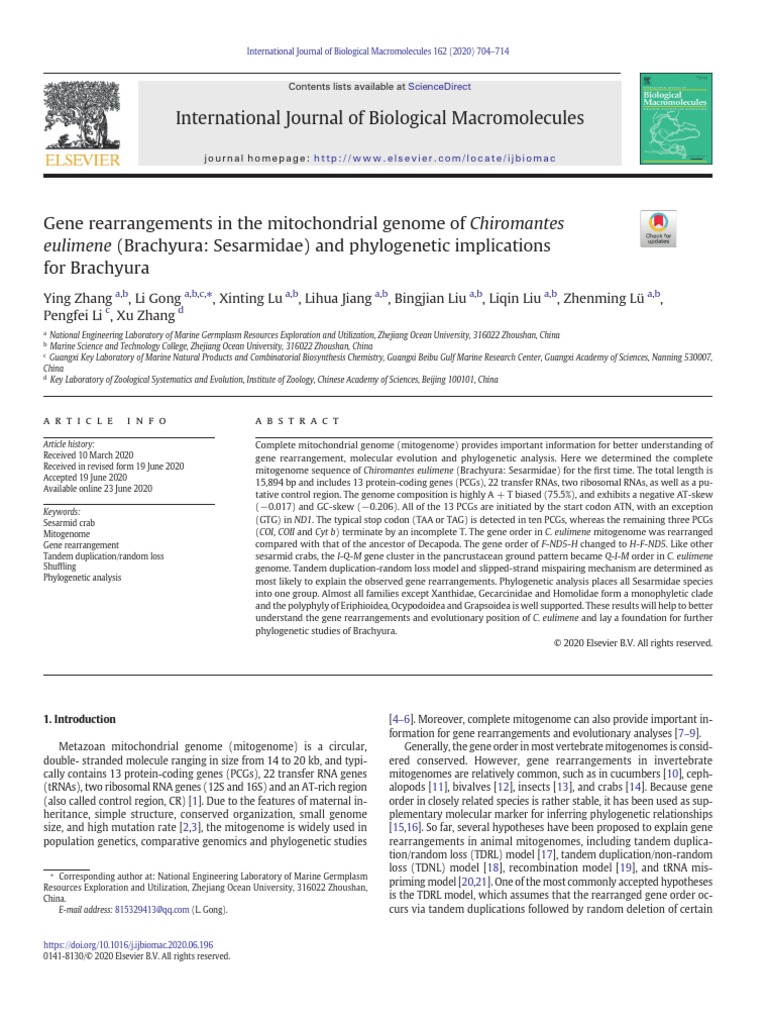 Gene Rearrangements in The Mitochondrial Genome of C 2020 International ...