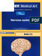 Nervous System: A Service Provided To Medicine by