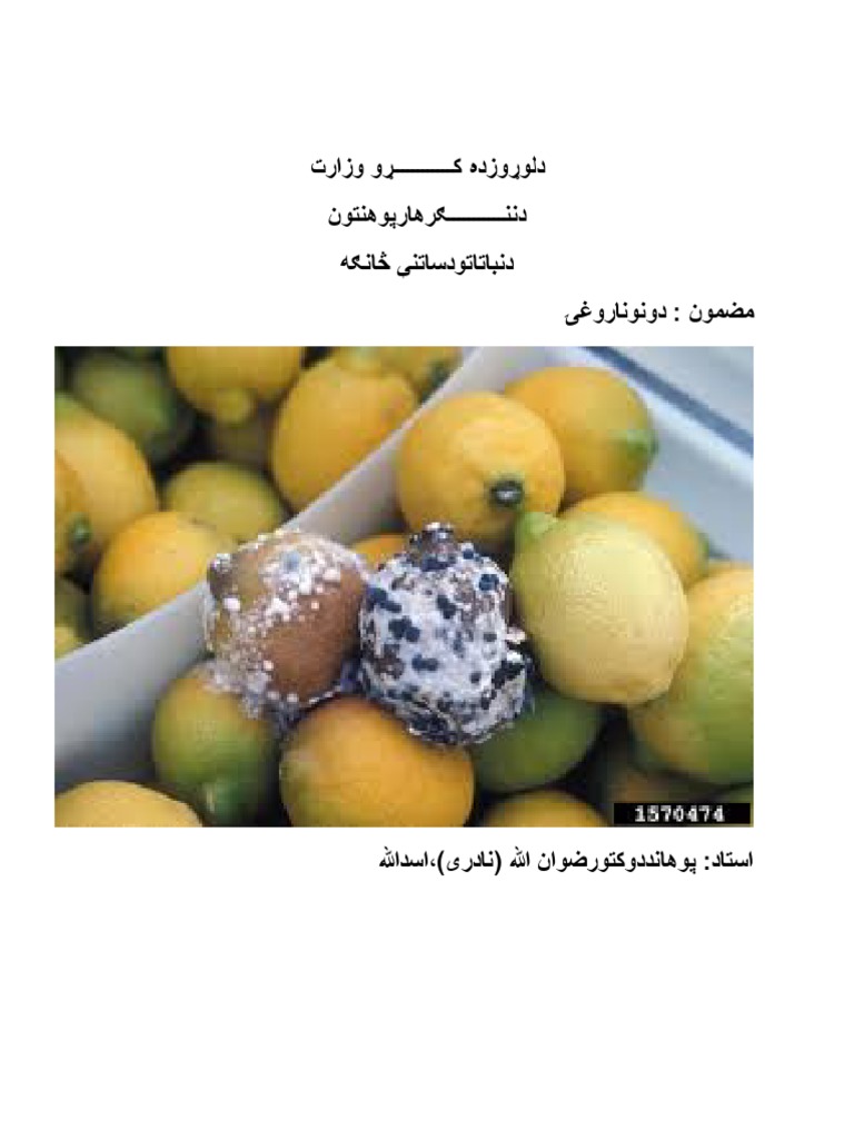 د ونو ناروغۍ | PDF