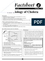 210 Biology of Cholera