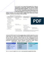 Hepatitis Diferencial