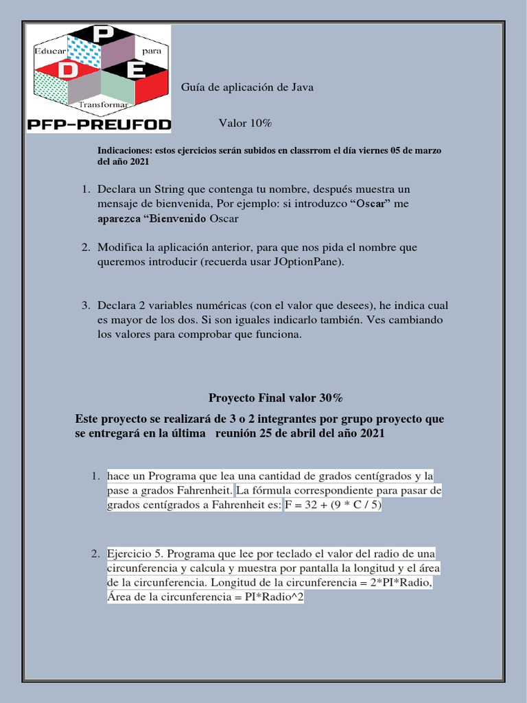 Guía de Aplicación de Java PFP | PDF