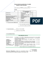 Protocolo de Evaluacion de La Fluidez