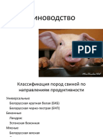 1 2 3 свиноводство - 1611431215