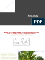 Proiect Geogra Singapore