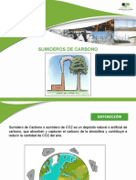 Sumideros de Carbono