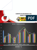 Informe 2020 PV