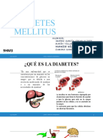 Diabetes Mellitus Homeopatia