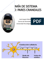10. Anatomia Pares Craneales