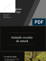 Animale_și_plante__Ocrotite__de_lege
