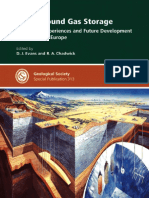 D. J. Evans, R. a. Chadwick - Underground Gas Storage_ Worldwide Experiences and Future Development in the UK and Europe (Geological Society Special Publication No. 313)-Geological Society of London (