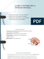 Seminario de Neuroanatomia 29