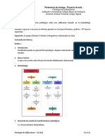 Informe de Patología. Parámetros de Entrega. Proyecto de Aula 2021-1