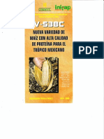 Folleto - Variedad de Maiz - V - 538C - Inifap