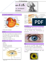 Anatomia e Funcionalidade do Olho Humano