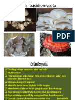 Jamur Basidiomycota Dan Deuteromycota