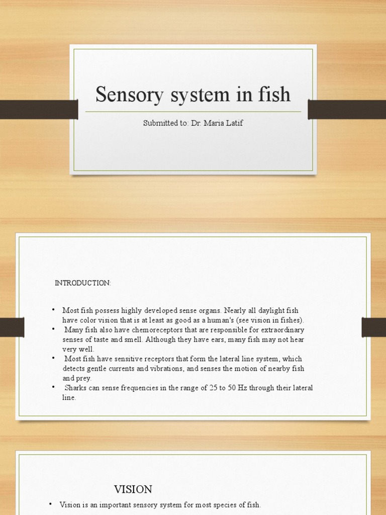 Fish Sensory Systems Overview | PDF | Fish | Senses