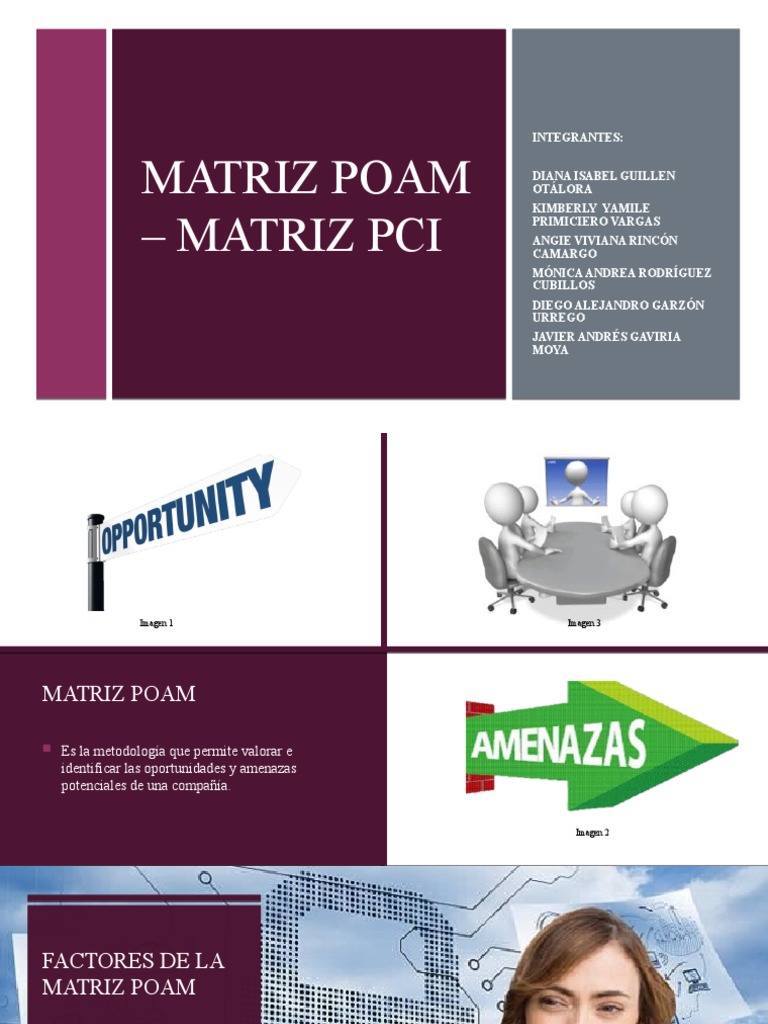 Matriz POAM - Matriz PCI. | PDF | Business | Economias