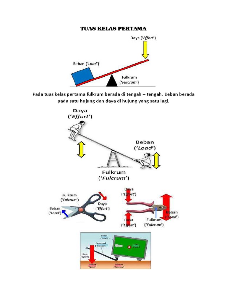 Jenis-Jenis Tuas dalam Fisika | PDF