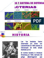 Bacterias