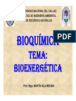 03 Bioenergética HP