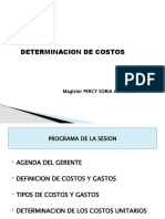 Determinación de Costos - Percy Soria v2