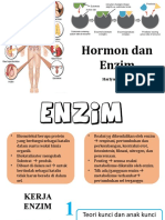 4 Hormon Dan Enzim