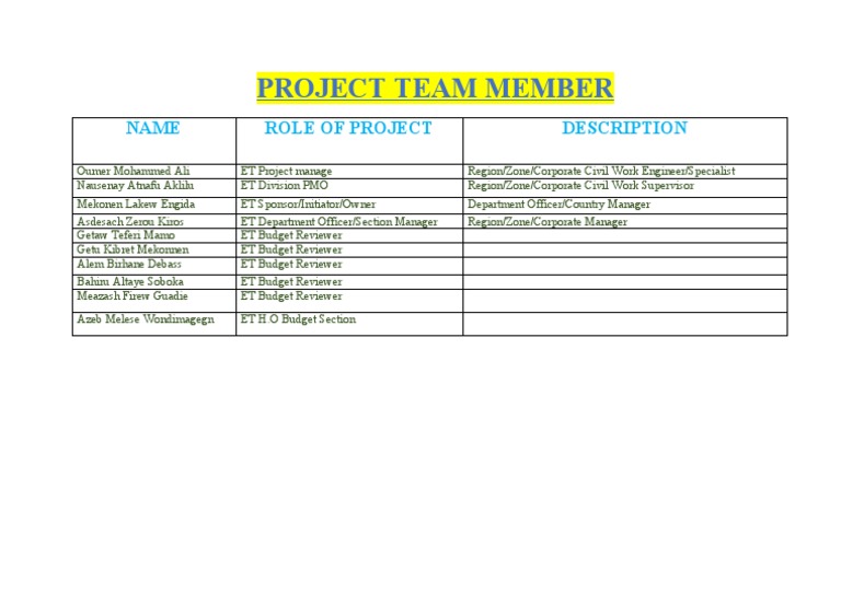 Project Team Member Roles Overview | PDF | Technology & Engineering