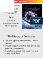 EUCARYOTES